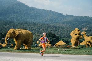 BIB: 
                            <button type="button" onclick="openModal(25870397)" class="btn btn-primary btn-sm float-right btn-popup" data-toggle="modal" data-target=".modal-high-quality">
                        <i class="fas fa-shopping-cart"></i> Add to Cart
                    </button>
                                            <button type="button" onclick="isThisMe(25870397, true)" class="btn btn-success btn-sm float-right btn-popup btn-isme hidden" data-toggle="tooltip" data-placement="bottom" title="นี่คือรูปของคุณใช่ไหม คลิกที่นี่เพื่อเอาเข้าอัลบั้ม">
                        <i class="fas fa-plus"></i> Add to album
                    </button>
                    <button type="button" onclick="isThisMe(25870397, false)" class="btn btn-warning btn-sm float-right btn-popup btn-isnotme hidden">
                        <i class="fas fa-ban"></i> Remove from album
                    </button>