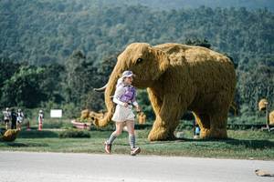 BIB: 
                            <button type="button" onclick="openModal(25911584)" class="btn btn-primary btn-sm float-right btn-popup" data-toggle="modal" data-target=".modal-high-quality">
                        <i class="fas fa-shopping-cart"></i> Add to Cart
                    </button>
                                            <button type="button" onclick="isThisMe(25911584, true)" class="btn btn-success btn-sm float-right btn-popup btn-isme hidden" data-toggle="tooltip" data-placement="bottom" title="นี่คือรูปของคุณใช่ไหม คลิกที่นี่เพื่อเอาเข้าอัลบั้ม">
                        <i class="fas fa-plus"></i> Add to album
                    </button>
                    <button type="button" onclick="isThisMe(25911584, false)" class="btn btn-warning btn-sm float-right btn-popup btn-isnotme hidden">
                        <i class="fas fa-ban"></i> Remove from album
                    </button>