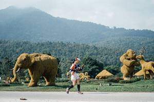 BIB: 
                            <button type="button" onclick="openModal(25904855)" class="btn btn-primary btn-sm float-right btn-popup" data-toggle="modal" data-target=".modal-high-quality">
                        <i class="fas fa-shopping-cart"></i> Add to Cart
                    </button>
                                            <button type="button" onclick="isThisMe(25904855, true)" class="btn btn-success btn-sm float-right btn-popup btn-isme hidden" data-toggle="tooltip" data-placement="bottom" title="นี่คือรูปของคุณใช่ไหม คลิกที่นี่เพื่อเอาเข้าอัลบั้ม">
                        <i class="fas fa-plus"></i> Add to album
                    </button>
                    <button type="button" onclick="isThisMe(25904855, false)" class="btn btn-warning btn-sm float-right btn-popup btn-isnotme hidden">
                        <i class="fas fa-ban"></i> Remove from album
                    </button>