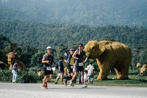 BIB: 
                            <button type="button" onclick="openModal(25873852)" class="btn btn-primary btn-sm float-right btn-popup" data-toggle="modal" data-target=".modal-high-quality">
                        <i class="fas fa-shopping-cart"></i> Add to Cart
                    </button>
                                            <button type="button" onclick="isThisMe(25873852, true)" class="btn btn-success btn-sm float-right btn-popup btn-isme hidden" data-toggle="tooltip" data-placement="bottom" title="นี่คือรูปของคุณใช่ไหม คลิกที่นี่เพื่อเอาเข้าอัลบั้ม">
                        <i class="fas fa-plus"></i> Add to album
                    </button>
                    <button type="button" onclick="isThisMe(25873852, false)" class="btn btn-warning btn-sm float-right btn-popup btn-isnotme hidden">
                        <i class="fas fa-ban"></i> Remove from album
                    </button>