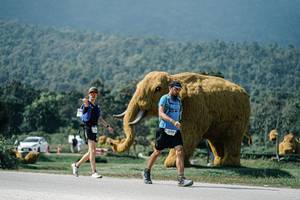 BIB: 
                            <button type="button" onclick="openModal(25931809)" class="btn btn-primary btn-sm float-right btn-popup" data-toggle="modal" data-target=".modal-high-quality">
                        <i class="fas fa-shopping-cart"></i> Add to Cart
                    </button>
                                            <button type="button" onclick="isThisMe(25931809, true)" class="btn btn-success btn-sm float-right btn-popup btn-isme hidden" data-toggle="tooltip" data-placement="bottom" title="นี่คือรูปของคุณใช่ไหม คลิกที่นี่เพื่อเอาเข้าอัลบั้ม">
                        <i class="fas fa-plus"></i> Add to album
                    </button>
                    <button type="button" onclick="isThisMe(25931809, false)" class="btn btn-warning btn-sm float-right btn-popup btn-isnotme hidden">
                        <i class="fas fa-ban"></i> Remove from album
                    </button>