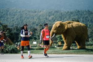 BIB: 
                            <button type="button" onclick="openModal(25915354)" class="btn btn-primary btn-sm float-right btn-popup" data-toggle="modal" data-target=".modal-high-quality">
                        <i class="fas fa-shopping-cart"></i> Add to Cart
                    </button>
                                            <button type="button" onclick="isThisMe(25915354, true)" class="btn btn-success btn-sm float-right btn-popup btn-isme hidden" data-toggle="tooltip" data-placement="bottom" title="นี่คือรูปของคุณใช่ไหม คลิกที่นี่เพื่อเอาเข้าอัลบั้ม">
                        <i class="fas fa-plus"></i> Add to album
                    </button>
                    <button type="button" onclick="isThisMe(25915354, false)" class="btn btn-warning btn-sm float-right btn-popup btn-isnotme hidden">
                        <i class="fas fa-ban"></i> Remove from album
                    </button>