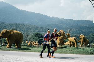 BIB: 
                            <button type="button" onclick="openModal(25967709)" class="btn btn-primary btn-sm float-right btn-popup" data-toggle="modal" data-target=".modal-high-quality">
                        <i class="fas fa-shopping-cart"></i> Add to Cart
                    </button>
                                            <button type="button" onclick="isThisMe(25967709, true)" class="btn btn-success btn-sm float-right btn-popup btn-isme hidden" data-toggle="tooltip" data-placement="bottom" title="นี่คือรูปของคุณใช่ไหม คลิกที่นี่เพื่อเอาเข้าอัลบั้ม">
                        <i class="fas fa-plus"></i> Add to album
                    </button>
                    <button type="button" onclick="isThisMe(25967709, false)" class="btn btn-warning btn-sm float-right btn-popup btn-isnotme hidden">
                        <i class="fas fa-ban"></i> Remove from album
                    </button>