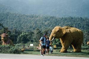 BIB: 
                            <button type="button" onclick="openModal(25890858)" class="btn btn-primary btn-sm float-right btn-popup" data-toggle="modal" data-target=".modal-high-quality">
                        <i class="fas fa-shopping-cart"></i> Add to Cart
                    </button>
                                            <button type="button" onclick="isThisMe(25890858, true)" class="btn btn-success btn-sm float-right btn-popup btn-isme hidden" data-toggle="tooltip" data-placement="bottom" title="นี่คือรูปของคุณใช่ไหม คลิกที่นี่เพื่อเอาเข้าอัลบั้ม">
                        <i class="fas fa-plus"></i> Add to album
                    </button>
                    <button type="button" onclick="isThisMe(25890858, false)" class="btn btn-warning btn-sm float-right btn-popup btn-isnotme hidden">
                        <i class="fas fa-ban"></i> Remove from album
                    </button>