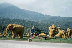 BIB: 
                            <button type="button" onclick="openModal(25877798)" class="btn btn-primary btn-sm float-right btn-popup" data-toggle="modal" data-target=".modal-high-quality">
                        <i class="fas fa-shopping-cart"></i> Add to Cart
                    </button>
                                            <button type="button" onclick="isThisMe(25877798, true)" class="btn btn-success btn-sm float-right btn-popup btn-isme hidden" data-toggle="tooltip" data-placement="bottom" title="นี่คือรูปของคุณใช่ไหม คลิกที่นี่เพื่อเอาเข้าอัลบั้ม">
                        <i class="fas fa-plus"></i> Add to album
                    </button>
                    <button type="button" onclick="isThisMe(25877798, false)" class="btn btn-warning btn-sm float-right btn-popup btn-isnotme hidden">
                        <i class="fas fa-ban"></i> Remove from album
                    </button>