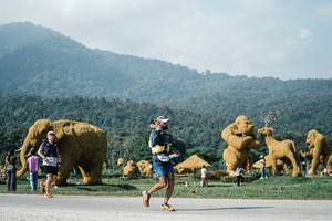 BIB: 
                            <button type="button" onclick="openModal(25880435)" class="btn btn-primary btn-sm float-right btn-popup" data-toggle="modal" data-target=".modal-high-quality">
                        <i class="fas fa-shopping-cart"></i> Add to Cart
                    </button>
                                            <button type="button" onclick="isThisMe(25880435, true)" class="btn btn-success btn-sm float-right btn-popup btn-isme hidden" data-toggle="tooltip" data-placement="bottom" title="นี่คือรูปของคุณใช่ไหม คลิกที่นี่เพื่อเอาเข้าอัลบั้ม">
                        <i class="fas fa-plus"></i> Add to album
                    </button>
                    <button type="button" onclick="isThisMe(25880435, false)" class="btn btn-warning btn-sm float-right btn-popup btn-isnotme hidden">
                        <i class="fas fa-ban"></i> Remove from album
                    </button>