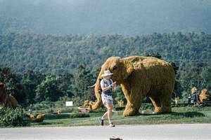 BIB: 
                            <button type="button" onclick="openModal(25905264)" class="btn btn-primary btn-sm float-right btn-popup" data-toggle="modal" data-target=".modal-high-quality">
                        <i class="fas fa-shopping-cart"></i> Add to Cart
                    </button>
                                            <button type="button" onclick="isThisMe(25905264, true)" class="btn btn-success btn-sm float-right btn-popup btn-isme hidden" data-toggle="tooltip" data-placement="bottom" title="นี่คือรูปของคุณใช่ไหม คลิกที่นี่เพื่อเอาเข้าอัลบั้ม">
                        <i class="fas fa-plus"></i> Add to album
                    </button>
                    <button type="button" onclick="isThisMe(25905264, false)" class="btn btn-warning btn-sm float-right btn-popup btn-isnotme hidden">
                        <i class="fas fa-ban"></i> Remove from album
                    </button>