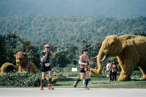 BIB: 
                            <button type="button" onclick="openModal(25914377)" class="btn btn-primary btn-sm float-right btn-popup" data-toggle="modal" data-target=".modal-high-quality">
                        <i class="fas fa-shopping-cart"></i> Add to Cart
                    </button>
                                            <button type="button" onclick="isThisMe(25914377, true)" class="btn btn-success btn-sm float-right btn-popup btn-isme hidden" data-toggle="tooltip" data-placement="bottom" title="นี่คือรูปของคุณใช่ไหม คลิกที่นี่เพื่อเอาเข้าอัลบั้ม">
                        <i class="fas fa-plus"></i> Add to album
                    </button>
                    <button type="button" onclick="isThisMe(25914377, false)" class="btn btn-warning btn-sm float-right btn-popup btn-isnotme hidden">
                        <i class="fas fa-ban"></i> Remove from album
                    </button>