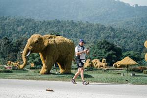 BIB: 
                            <button type="button" onclick="openModal(25901491)" class="btn btn-primary btn-sm float-right btn-popup" data-toggle="modal" data-target=".modal-high-quality">
                        <i class="fas fa-shopping-cart"></i> Add to Cart
                    </button>
                                            <button type="button" onclick="isThisMe(25901491, true)" class="btn btn-success btn-sm float-right btn-popup btn-isme hidden" data-toggle="tooltip" data-placement="bottom" title="นี่คือรูปของคุณใช่ไหม คลิกที่นี่เพื่อเอาเข้าอัลบั้ม">
                        <i class="fas fa-plus"></i> Add to album
                    </button>
                    <button type="button" onclick="isThisMe(25901491, false)" class="btn btn-warning btn-sm float-right btn-popup btn-isnotme hidden">
                        <i class="fas fa-ban"></i> Remove from album
                    </button>