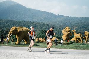 BIB: 
                            <button type="button" onclick="openModal(25884431)" class="btn btn-primary btn-sm float-right btn-popup" data-toggle="modal" data-target=".modal-high-quality">
                        <i class="fas fa-shopping-cart"></i> Add to Cart
                    </button>
                                            <button type="button" onclick="isThisMe(25884431, true)" class="btn btn-success btn-sm float-right btn-popup btn-isme hidden" data-toggle="tooltip" data-placement="bottom" title="นี่คือรูปของคุณใช่ไหม คลิกที่นี่เพื่อเอาเข้าอัลบั้ม">
                        <i class="fas fa-plus"></i> Add to album
                    </button>
                    <button type="button" onclick="isThisMe(25884431, false)" class="btn btn-warning btn-sm float-right btn-popup btn-isnotme hidden">
                        <i class="fas fa-ban"></i> Remove from album
                    </button>