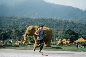 BIB: 
                            <button type="button" onclick="openModal(25892829)" class="btn btn-primary btn-sm float-right btn-popup" data-toggle="modal" data-target=".modal-high-quality">
                        <i class="fas fa-shopping-cart"></i> Add to Cart
                    </button>
                                            <button type="button" onclick="isThisMe(25892829, true)" class="btn btn-success btn-sm float-right btn-popup btn-isme hidden" data-toggle="tooltip" data-placement="bottom" title="นี่คือรูปของคุณใช่ไหม คลิกที่นี่เพื่อเอาเข้าอัลบั้ม">
                        <i class="fas fa-plus"></i> Add to album
                    </button>
                    <button type="button" onclick="isThisMe(25892829, false)" class="btn btn-warning btn-sm float-right btn-popup btn-isnotme hidden">
                        <i class="fas fa-ban"></i> Remove from album
                    </button>