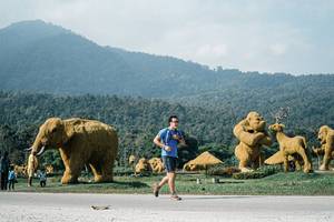 BIB: 
                            <button type="button" onclick="openModal(25889550)" class="btn btn-primary btn-sm float-right btn-popup" data-toggle="modal" data-target=".modal-high-quality">
                        <i class="fas fa-shopping-cart"></i> Add to Cart
                    </button>
                                            <button type="button" onclick="isThisMe(25889550, true)" class="btn btn-success btn-sm float-right btn-popup btn-isme hidden" data-toggle="tooltip" data-placement="bottom" title="นี่คือรูปของคุณใช่ไหม คลิกที่นี่เพื่อเอาเข้าอัลบั้ม">
                        <i class="fas fa-plus"></i> Add to album
                    </button>
                    <button type="button" onclick="isThisMe(25889550, false)" class="btn btn-warning btn-sm float-right btn-popup btn-isnotme hidden">
                        <i class="fas fa-ban"></i> Remove from album
                    </button>