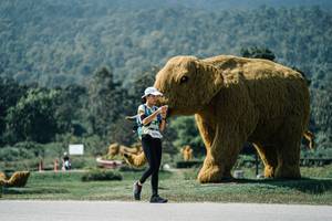 BIB: 
                            <button type="button" onclick="openModal(25954191)" class="btn btn-primary btn-sm float-right btn-popup" data-toggle="modal" data-target=".modal-high-quality">
                        <i class="fas fa-shopping-cart"></i> Add to Cart
                    </button>
                                            <button type="button" onclick="isThisMe(25954191, true)" class="btn btn-success btn-sm float-right btn-popup btn-isme hidden" data-toggle="tooltip" data-placement="bottom" title="นี่คือรูปของคุณใช่ไหม คลิกที่นี่เพื่อเอาเข้าอัลบั้ม">
                        <i class="fas fa-plus"></i> Add to album
                    </button>
                    <button type="button" onclick="isThisMe(25954191, false)" class="btn btn-warning btn-sm float-right btn-popup btn-isnotme hidden">
                        <i class="fas fa-ban"></i> Remove from album
                    </button>