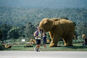 BIB: 
                            <button type="button" onclick="openModal(25956064)" class="btn btn-primary btn-sm float-right btn-popup" data-toggle="modal" data-target=".modal-high-quality">
                        <i class="fas fa-shopping-cart"></i> Add to Cart
                    </button>
                                            <button type="button" onclick="isThisMe(25956064, true)" class="btn btn-success btn-sm float-right btn-popup btn-isme hidden" data-toggle="tooltip" data-placement="bottom" title="นี่คือรูปของคุณใช่ไหม คลิกที่นี่เพื่อเอาเข้าอัลบั้ม">
                        <i class="fas fa-plus"></i> Add to album
                    </button>
                    <button type="button" onclick="isThisMe(25956064, false)" class="btn btn-warning btn-sm float-right btn-popup btn-isnotme hidden">
                        <i class="fas fa-ban"></i> Remove from album
                    </button>