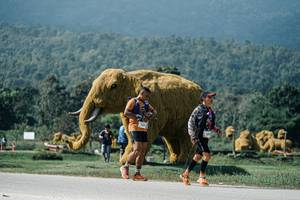 BIB: 
                            <button type="button" onclick="openModal(25942888)" class="btn btn-primary btn-sm float-right btn-popup" data-toggle="modal" data-target=".modal-high-quality">
                        <i class="fas fa-shopping-cart"></i> Add to Cart
                    </button>
                                            <button type="button" onclick="isThisMe(25942888, true)" class="btn btn-success btn-sm float-right btn-popup btn-isme hidden" data-toggle="tooltip" data-placement="bottom" title="นี่คือรูปของคุณใช่ไหม คลิกที่นี่เพื่อเอาเข้าอัลบั้ม">
                        <i class="fas fa-plus"></i> Add to album
                    </button>
                    <button type="button" onclick="isThisMe(25942888, false)" class="btn btn-warning btn-sm float-right btn-popup btn-isnotme hidden">
                        <i class="fas fa-ban"></i> Remove from album
                    </button>