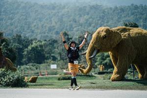 BIB: 
                            <button type="button" onclick="openModal(25982692)" class="btn btn-primary btn-sm float-right btn-popup" data-toggle="modal" data-target=".modal-high-quality">
                        <i class="fas fa-shopping-cart"></i> Add to Cart
                    </button>
                                            <button type="button" onclick="isThisMe(25982692, true)" class="btn btn-success btn-sm float-right btn-popup btn-isme hidden" data-toggle="tooltip" data-placement="bottom" title="นี่คือรูปของคุณใช่ไหม คลิกที่นี่เพื่อเอาเข้าอัลบั้ม">
                        <i class="fas fa-plus"></i> Add to album
                    </button>
                    <button type="button" onclick="isThisMe(25982692, false)" class="btn btn-warning btn-sm float-right btn-popup btn-isnotme hidden">
                        <i class="fas fa-ban"></i> Remove from album
                    </button>