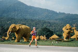 BIB: 
                            <button type="button" onclick="openModal(25870388)" class="btn btn-primary btn-sm float-right btn-popup" data-toggle="modal" data-target=".modal-high-quality">
                        <i class="fas fa-shopping-cart"></i> Add to Cart
                    </button>
                                            <button type="button" onclick="isThisMe(25870388, true)" class="btn btn-success btn-sm float-right btn-popup btn-isme hidden" data-toggle="tooltip" data-placement="bottom" title="นี่คือรูปของคุณใช่ไหม คลิกที่นี่เพื่อเอาเข้าอัลบั้ม">
                        <i class="fas fa-plus"></i> Add to album
                    </button>
                    <button type="button" onclick="isThisMe(25870388, false)" class="btn btn-warning btn-sm float-right btn-popup btn-isnotme hidden">
                        <i class="fas fa-ban"></i> Remove from album
                    </button>