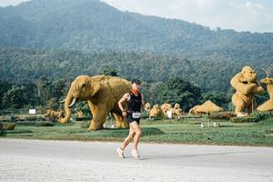 BIB: 
                            <button type="button" onclick="openModal(25870294)" class="btn btn-primary btn-sm float-right btn-popup" data-toggle="modal" data-target=".modal-high-quality">
                        <i class="fas fa-shopping-cart"></i> Add to Cart
                    </button>
                                            <button type="button" onclick="isThisMe(25870294, true)" class="btn btn-success btn-sm float-right btn-popup btn-isme hidden" data-toggle="tooltip" data-placement="bottom" title="นี่คือรูปของคุณใช่ไหม คลิกที่นี่เพื่อเอาเข้าอัลบั้ม">
                        <i class="fas fa-plus"></i> Add to album
                    </button>
                    <button type="button" onclick="isThisMe(25870294, false)" class="btn btn-warning btn-sm float-right btn-popup btn-isnotme hidden">
                        <i class="fas fa-ban"></i> Remove from album
                    </button>