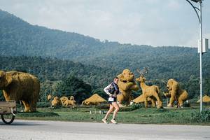 BIB: 
                            <button type="button" onclick="openModal(25871093)" class="btn btn-primary btn-sm float-right btn-popup" data-toggle="modal" data-target=".modal-high-quality">
                        <i class="fas fa-shopping-cart"></i> Add to Cart
                    </button>
                                            <button type="button" onclick="isThisMe(25871093, true)" class="btn btn-success btn-sm float-right btn-popup btn-isme hidden" data-toggle="tooltip" data-placement="bottom" title="นี่คือรูปของคุณใช่ไหม คลิกที่นี่เพื่อเอาเข้าอัลบั้ม">
                        <i class="fas fa-plus"></i> Add to album
                    </button>
                    <button type="button" onclick="isThisMe(25871093, false)" class="btn btn-warning btn-sm float-right btn-popup btn-isnotme hidden">
                        <i class="fas fa-ban"></i> Remove from album
                    </button>