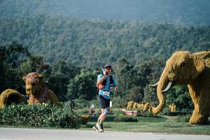 BIB: 
                            <button type="button" onclick="openModal(25887026)" class="btn btn-primary btn-sm float-right btn-popup" data-toggle="modal" data-target=".modal-high-quality">
                        <i class="fas fa-shopping-cart"></i> Add to Cart
                    </button>
                                            <button type="button" onclick="isThisMe(25887026, true)" class="btn btn-success btn-sm float-right btn-popup btn-isme hidden" data-toggle="tooltip" data-placement="bottom" title="นี่คือรูปของคุณใช่ไหม คลิกที่นี่เพื่อเอาเข้าอัลบั้ม">
                        <i class="fas fa-plus"></i> Add to album
                    </button>
                    <button type="button" onclick="isThisMe(25887026, false)" class="btn btn-warning btn-sm float-right btn-popup btn-isnotme hidden">
                        <i class="fas fa-ban"></i> Remove from album
                    </button>