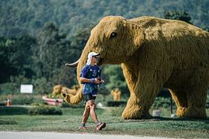 BIB: 
                            <button type="button" onclick="openModal(25907596)" class="btn btn-primary btn-sm float-right btn-popup" data-toggle="modal" data-target=".modal-high-quality">
                        <i class="fas fa-shopping-cart"></i> Add to Cart
                    </button>
                                            <button type="button" onclick="isThisMe(25907596, true)" class="btn btn-success btn-sm float-right btn-popup btn-isme hidden" data-toggle="tooltip" data-placement="bottom" title="นี่คือรูปของคุณใช่ไหม คลิกที่นี่เพื่อเอาเข้าอัลบั้ม">
                        <i class="fas fa-plus"></i> Add to album
                    </button>
                    <button type="button" onclick="isThisMe(25907596, false)" class="btn btn-warning btn-sm float-right btn-popup btn-isnotme hidden">
                        <i class="fas fa-ban"></i> Remove from album
                    </button>