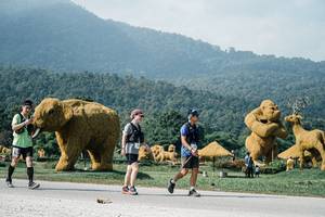 BIB: 
                            <button type="button" onclick="openModal(25894846)" class="btn btn-primary btn-sm float-right btn-popup" data-toggle="modal" data-target=".modal-high-quality">
                        <i class="fas fa-shopping-cart"></i> Add to Cart
                    </button>
                                            <button type="button" onclick="isThisMe(25894846, true)" class="btn btn-success btn-sm float-right btn-popup btn-isme hidden" data-toggle="tooltip" data-placement="bottom" title="นี่คือรูปของคุณใช่ไหม คลิกที่นี่เพื่อเอาเข้าอัลบั้ม">
                        <i class="fas fa-plus"></i> Add to album
                    </button>
                    <button type="button" onclick="isThisMe(25894846, false)" class="btn btn-warning btn-sm float-right btn-popup btn-isnotme hidden">
                        <i class="fas fa-ban"></i> Remove from album
                    </button>