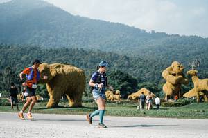 BIB: 
                            <button type="button" onclick="openModal(25884546)" class="btn btn-primary btn-sm float-right btn-popup" data-toggle="modal" data-target=".modal-high-quality">
                        <i class="fas fa-shopping-cart"></i> Add to Cart
                    </button>
                                            <button type="button" onclick="isThisMe(25884546, true)" class="btn btn-success btn-sm float-right btn-popup btn-isme hidden" data-toggle="tooltip" data-placement="bottom" title="นี่คือรูปของคุณใช่ไหม คลิกที่นี่เพื่อเอาเข้าอัลบั้ม">
                        <i class="fas fa-plus"></i> Add to album
                    </button>
                    <button type="button" onclick="isThisMe(25884546, false)" class="btn btn-warning btn-sm float-right btn-popup btn-isnotme hidden">
                        <i class="fas fa-ban"></i> Remove from album
                    </button>