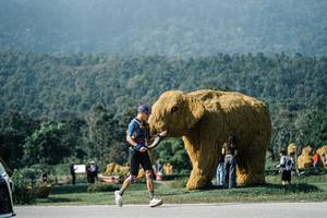 BIB: 
                            <button type="button" onclick="openModal(25883096)" class="btn btn-primary btn-sm float-right btn-popup" data-toggle="modal" data-target=".modal-high-quality">
                        <i class="fas fa-shopping-cart"></i> Add to Cart
                    </button>
                                            <button type="button" onclick="isThisMe(25883096, true)" class="btn btn-success btn-sm float-right btn-popup btn-isme hidden" data-toggle="tooltip" data-placement="bottom" title="นี่คือรูปของคุณใช่ไหม คลิกที่นี่เพื่อเอาเข้าอัลบั้ม">
                        <i class="fas fa-plus"></i> Add to album
                    </button>
                    <button type="button" onclick="isThisMe(25883096, false)" class="btn btn-warning btn-sm float-right btn-popup btn-isnotme hidden">
                        <i class="fas fa-ban"></i> Remove from album
                    </button>