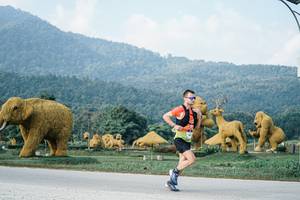 BIB: 
                            <button type="button" onclick="openModal(25869955)" class="btn btn-primary btn-sm float-right btn-popup" data-toggle="modal" data-target=".modal-high-quality">
                        <i class="fas fa-shopping-cart"></i> Add to Cart
                    </button>
                                            <button type="button" onclick="isThisMe(25869955, true)" class="btn btn-success btn-sm float-right btn-popup btn-isme hidden" data-toggle="tooltip" data-placement="bottom" title="นี่คือรูปของคุณใช่ไหม คลิกที่นี่เพื่อเอาเข้าอัลบั้ม">
                        <i class="fas fa-plus"></i> Add to album
                    </button>
                    <button type="button" onclick="isThisMe(25869955, false)" class="btn btn-warning btn-sm float-right btn-popup btn-isnotme hidden">
                        <i class="fas fa-ban"></i> Remove from album
                    </button>