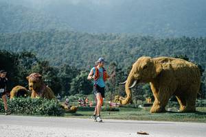 BIB: 
                            <button type="button" onclick="openModal(25904380)" class="btn btn-primary btn-sm float-right btn-popup" data-toggle="modal" data-target=".modal-high-quality">
                        <i class="fas fa-shopping-cart"></i> Add to Cart
                    </button>
                                            <button type="button" onclick="isThisMe(25904380, true)" class="btn btn-success btn-sm float-right btn-popup btn-isme hidden" data-toggle="tooltip" data-placement="bottom" title="นี่คือรูปของคุณใช่ไหม คลิกที่นี่เพื่อเอาเข้าอัลบั้ม">
                        <i class="fas fa-plus"></i> Add to album
                    </button>
                    <button type="button" onclick="isThisMe(25904380, false)" class="btn btn-warning btn-sm float-right btn-popup btn-isnotme hidden">
                        <i class="fas fa-ban"></i> Remove from album
                    </button>