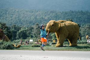 BIB: 
                            <button type="button" onclick="openModal(25941711)" class="btn btn-primary btn-sm float-right btn-popup" data-toggle="modal" data-target=".modal-high-quality">
                        <i class="fas fa-shopping-cart"></i> Add to Cart
                    </button>
                                            <button type="button" onclick="isThisMe(25941711, true)" class="btn btn-success btn-sm float-right btn-popup btn-isme hidden" data-toggle="tooltip" data-placement="bottom" title="นี่คือรูปของคุณใช่ไหม คลิกที่นี่เพื่อเอาเข้าอัลบั้ม">
                        <i class="fas fa-plus"></i> Add to album
                    </button>
                    <button type="button" onclick="isThisMe(25941711, false)" class="btn btn-warning btn-sm float-right btn-popup btn-isnotme hidden">
                        <i class="fas fa-ban"></i> Remove from album
                    </button>