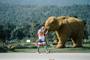 BIB: 
                            <button type="button" onclick="openModal(25905003)" class="btn btn-primary btn-sm float-right btn-popup" data-toggle="modal" data-target=".modal-high-quality">
                        <i class="fas fa-shopping-cart"></i> Add to Cart
                    </button>
                                            <button type="button" onclick="isThisMe(25905003, true)" class="btn btn-success btn-sm float-right btn-popup btn-isme hidden" data-toggle="tooltip" data-placement="bottom" title="นี่คือรูปของคุณใช่ไหม คลิกที่นี่เพื่อเอาเข้าอัลบั้ม">
                        <i class="fas fa-plus"></i> Add to album
                    </button>
                    <button type="button" onclick="isThisMe(25905003, false)" class="btn btn-warning btn-sm float-right btn-popup btn-isnotme hidden">
                        <i class="fas fa-ban"></i> Remove from album
                    </button>