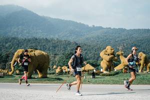 BIB: 
                            <button type="button" onclick="openModal(25876678)" class="btn btn-primary btn-sm float-right btn-popup" data-toggle="modal" data-target=".modal-high-quality">
                        <i class="fas fa-shopping-cart"></i> Add to Cart
                    </button>
                                            <button type="button" onclick="isThisMe(25876678, true)" class="btn btn-success btn-sm float-right btn-popup btn-isme hidden" data-toggle="tooltip" data-placement="bottom" title="นี่คือรูปของคุณใช่ไหม คลิกที่นี่เพื่อเอาเข้าอัลบั้ม">
                        <i class="fas fa-plus"></i> Add to album
                    </button>
                    <button type="button" onclick="isThisMe(25876678, false)" class="btn btn-warning btn-sm float-right btn-popup btn-isnotme hidden">
                        <i class="fas fa-ban"></i> Remove from album
                    </button>