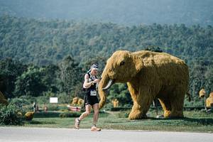 BIB: 
                            <button type="button" onclick="openModal(25901875)" class="btn btn-primary btn-sm float-right btn-popup" data-toggle="modal" data-target=".modal-high-quality">
                        <i class="fas fa-shopping-cart"></i> Add to Cart
                    </button>
                                            <button type="button" onclick="isThisMe(25901875, true)" class="btn btn-success btn-sm float-right btn-popup btn-isme hidden" data-toggle="tooltip" data-placement="bottom" title="นี่คือรูปของคุณใช่ไหม คลิกที่นี่เพื่อเอาเข้าอัลบั้ม">
                        <i class="fas fa-plus"></i> Add to album
                    </button>
                    <button type="button" onclick="isThisMe(25901875, false)" class="btn btn-warning btn-sm float-right btn-popup btn-isnotme hidden">
                        <i class="fas fa-ban"></i> Remove from album
                    </button>