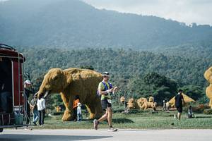 BIB: 
                            <button type="button" onclick="openModal(25917505)" class="btn btn-primary btn-sm float-right btn-popup" data-toggle="modal" data-target=".modal-high-quality">
                        <i class="fas fa-shopping-cart"></i> Add to Cart
                    </button>
                                            <button type="button" onclick="isThisMe(25917505, true)" class="btn btn-success btn-sm float-right btn-popup btn-isme hidden" data-toggle="tooltip" data-placement="bottom" title="นี่คือรูปของคุณใช่ไหม คลิกที่นี่เพื่อเอาเข้าอัลบั้ม">
                        <i class="fas fa-plus"></i> Add to album
                    </button>
                    <button type="button" onclick="isThisMe(25917505, false)" class="btn btn-warning btn-sm float-right btn-popup btn-isnotme hidden">
                        <i class="fas fa-ban"></i> Remove from album
                    </button>