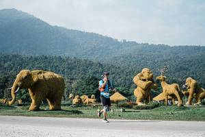 BIB: 
                            <button type="button" onclick="openModal(25887118)" class="btn btn-primary btn-sm float-right btn-popup" data-toggle="modal" data-target=".modal-high-quality">
                        <i class="fas fa-shopping-cart"></i> Add to Cart
                    </button>
                                            <button type="button" onclick="isThisMe(25887118, true)" class="btn btn-success btn-sm float-right btn-popup btn-isme hidden" data-toggle="tooltip" data-placement="bottom" title="นี่คือรูปของคุณใช่ไหม คลิกที่นี่เพื่อเอาเข้าอัลบั้ม">
                        <i class="fas fa-plus"></i> Add to album
                    </button>
                    <button type="button" onclick="isThisMe(25887118, false)" class="btn btn-warning btn-sm float-right btn-popup btn-isnotme hidden">
                        <i class="fas fa-ban"></i> Remove from album
                    </button>