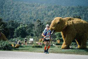 BIB: 
                            <button type="button" onclick="openModal(25932997)" class="btn btn-primary btn-sm float-right btn-popup" data-toggle="modal" data-target=".modal-high-quality">
                        <i class="fas fa-shopping-cart"></i> Add to Cart
                    </button>
                                            <button type="button" onclick="isThisMe(25932997, true)" class="btn btn-success btn-sm float-right btn-popup btn-isme hidden" data-toggle="tooltip" data-placement="bottom" title="นี่คือรูปของคุณใช่ไหม คลิกที่นี่เพื่อเอาเข้าอัลบั้ม">
                        <i class="fas fa-plus"></i> Add to album
                    </button>
                    <button type="button" onclick="isThisMe(25932997, false)" class="btn btn-warning btn-sm float-right btn-popup btn-isnotme hidden">
                        <i class="fas fa-ban"></i> Remove from album
                    </button>