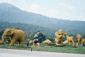 BIB: 
                            <button type="button" onclick="openModal(25870146)" class="btn btn-primary btn-sm float-right btn-popup" data-toggle="modal" data-target=".modal-high-quality">
                        <i class="fas fa-shopping-cart"></i> Add to Cart
                    </button>
                                            <button type="button" onclick="isThisMe(25870146, true)" class="btn btn-success btn-sm float-right btn-popup btn-isme hidden" data-toggle="tooltip" data-placement="bottom" title="นี่คือรูปของคุณใช่ไหม คลิกที่นี่เพื่อเอาเข้าอัลบั้ม">
                        <i class="fas fa-plus"></i> Add to album
                    </button>
                    <button type="button" onclick="isThisMe(25870146, false)" class="btn btn-warning btn-sm float-right btn-popup btn-isnotme hidden">
                        <i class="fas fa-ban"></i> Remove from album
                    </button>