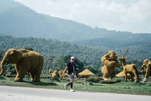 BIB: 
                            <button type="button" onclick="openModal(25981493)" class="btn btn-primary btn-sm float-right btn-popup" data-toggle="modal" data-target=".modal-high-quality">
                        <i class="fas fa-shopping-cart"></i> Add to Cart
                    </button>
                                            <button type="button" onclick="isThisMe(25981493, true)" class="btn btn-success btn-sm float-right btn-popup btn-isme hidden" data-toggle="tooltip" data-placement="bottom" title="นี่คือรูปของคุณใช่ไหม คลิกที่นี่เพื่อเอาเข้าอัลบั้ม">
                        <i class="fas fa-plus"></i> Add to album
                    </button>
                    <button type="button" onclick="isThisMe(25981493, false)" class="btn btn-warning btn-sm float-right btn-popup btn-isnotme hidden">
                        <i class="fas fa-ban"></i> Remove from album
                    </button>