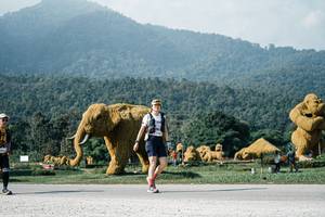 BIB: 
                            <button type="button" onclick="openModal(25884952)" class="btn btn-primary btn-sm float-right btn-popup" data-toggle="modal" data-target=".modal-high-quality">
                        <i class="fas fa-shopping-cart"></i> Add to Cart
                    </button>
                                            <button type="button" onclick="isThisMe(25884952, true)" class="btn btn-success btn-sm float-right btn-popup btn-isme hidden" data-toggle="tooltip" data-placement="bottom" title="นี่คือรูปของคุณใช่ไหม คลิกที่นี่เพื่อเอาเข้าอัลบั้ม">
                        <i class="fas fa-plus"></i> Add to album
                    </button>
                    <button type="button" onclick="isThisMe(25884952, false)" class="btn btn-warning btn-sm float-right btn-popup btn-isnotme hidden">
                        <i class="fas fa-ban"></i> Remove from album
                    </button>