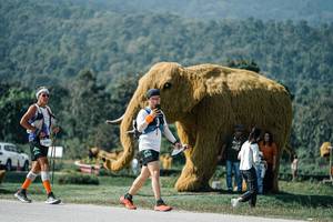 BIB: 
                            <button type="button" onclick="openModal(25917811)" class="btn btn-primary btn-sm float-right btn-popup" data-toggle="modal" data-target=".modal-high-quality">
                        <i class="fas fa-shopping-cart"></i> Add to Cart
                    </button>
                                            <button type="button" onclick="isThisMe(25917811, true)" class="btn btn-success btn-sm float-right btn-popup btn-isme hidden" data-toggle="tooltip" data-placement="bottom" title="นี่คือรูปของคุณใช่ไหม คลิกที่นี่เพื่อเอาเข้าอัลบั้ม">
                        <i class="fas fa-plus"></i> Add to album
                    </button>
                    <button type="button" onclick="isThisMe(25917811, false)" class="btn btn-warning btn-sm float-right btn-popup btn-isnotme hidden">
                        <i class="fas fa-ban"></i> Remove from album
                    </button>