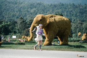 BIB: 
                            <button type="button" onclick="openModal(25911585)" class="btn btn-primary btn-sm float-right btn-popup" data-toggle="modal" data-target=".modal-high-quality">
                        <i class="fas fa-shopping-cart"></i> Add to Cart
                    </button>
                                            <button type="button" onclick="isThisMe(25911585, true)" class="btn btn-success btn-sm float-right btn-popup btn-isme hidden" data-toggle="tooltip" data-placement="bottom" title="นี่คือรูปของคุณใช่ไหม คลิกที่นี่เพื่อเอาเข้าอัลบั้ม">
                        <i class="fas fa-plus"></i> Add to album
                    </button>
                    <button type="button" onclick="isThisMe(25911585, false)" class="btn btn-warning btn-sm float-right btn-popup btn-isnotme hidden">
                        <i class="fas fa-ban"></i> Remove from album
                    </button>