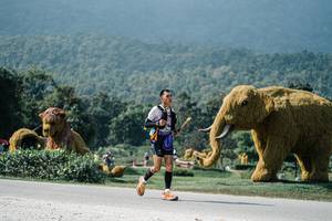 BIB: 
                            <button type="button" onclick="openModal(25930563)" class="btn btn-primary btn-sm float-right btn-popup" data-toggle="modal" data-target=".modal-high-quality">
                        <i class="fas fa-shopping-cart"></i> Add to Cart
                    </button>
                                            <button type="button" onclick="isThisMe(25930563, true)" class="btn btn-success btn-sm float-right btn-popup btn-isme hidden" data-toggle="tooltip" data-placement="bottom" title="นี่คือรูปของคุณใช่ไหม คลิกที่นี่เพื่อเอาเข้าอัลบั้ม">
                        <i class="fas fa-plus"></i> Add to album
                    </button>
                    <button type="button" onclick="isThisMe(25930563, false)" class="btn btn-warning btn-sm float-right btn-popup btn-isnotme hidden">
                        <i class="fas fa-ban"></i> Remove from album
                    </button>