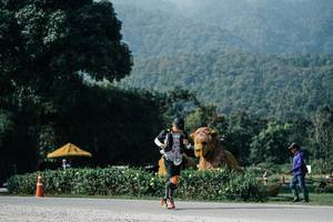 BIB: 
                            <button type="button" onclick="openModal(25872081)" class="btn btn-primary btn-sm float-right btn-popup" data-toggle="modal" data-target=".modal-high-quality">
                        <i class="fas fa-shopping-cart"></i> Add to Cart
                    </button>
                                            <button type="button" onclick="isThisMe(25872081, true)" class="btn btn-success btn-sm float-right btn-popup btn-isme hidden" data-toggle="tooltip" data-placement="bottom" title="นี่คือรูปของคุณใช่ไหม คลิกที่นี่เพื่อเอาเข้าอัลบั้ม">
                        <i class="fas fa-plus"></i> Add to album
                    </button>
                    <button type="button" onclick="isThisMe(25872081, false)" class="btn btn-warning btn-sm float-right btn-popup btn-isnotme hidden">
                        <i class="fas fa-ban"></i> Remove from album
                    </button>