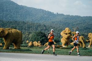 BIB: 
                            <button type="button" onclick="openModal(25870723)" class="btn btn-primary btn-sm float-right btn-popup" data-toggle="modal" data-target=".modal-high-quality">
                        <i class="fas fa-shopping-cart"></i> Add to Cart
                    </button>
                                            <button type="button" onclick="isThisMe(25870723, true)" class="btn btn-success btn-sm float-right btn-popup btn-isme hidden" data-toggle="tooltip" data-placement="bottom" title="นี่คือรูปของคุณใช่ไหม คลิกที่นี่เพื่อเอาเข้าอัลบั้ม">
                        <i class="fas fa-plus"></i> Add to album
                    </button>
                    <button type="button" onclick="isThisMe(25870723, false)" class="btn btn-warning btn-sm float-right btn-popup btn-isnotme hidden">
                        <i class="fas fa-ban"></i> Remove from album
                    </button>