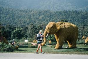 BIB: 
                            <button type="button" onclick="openModal(25885160)" class="btn btn-primary btn-sm float-right btn-popup" data-toggle="modal" data-target=".modal-high-quality">
                        <i class="fas fa-shopping-cart"></i> Add to Cart
                    </button>
                                            <button type="button" onclick="isThisMe(25885160, true)" class="btn btn-success btn-sm float-right btn-popup btn-isme hidden" data-toggle="tooltip" data-placement="bottom" title="นี่คือรูปของคุณใช่ไหม คลิกที่นี่เพื่อเอาเข้าอัลบั้ม">
                        <i class="fas fa-plus"></i> Add to album
                    </button>
                    <button type="button" onclick="isThisMe(25885160, false)" class="btn btn-warning btn-sm float-right btn-popup btn-isnotme hidden">
                        <i class="fas fa-ban"></i> Remove from album
                    </button>