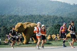 BIB: 
                            <button type="button" onclick="openModal(25882465)" class="btn btn-primary btn-sm float-right btn-popup" data-toggle="modal" data-target=".modal-high-quality">
                        <i class="fas fa-shopping-cart"></i> Add to Cart
                    </button>
                                            <button type="button" onclick="isThisMe(25882465, true)" class="btn btn-success btn-sm float-right btn-popup btn-isme hidden" data-toggle="tooltip" data-placement="bottom" title="นี่คือรูปของคุณใช่ไหม คลิกที่นี่เพื่อเอาเข้าอัลบั้ม">
                        <i class="fas fa-plus"></i> Add to album
                    </button>
                    <button type="button" onclick="isThisMe(25882465, false)" class="btn btn-warning btn-sm float-right btn-popup btn-isnotme hidden">
                        <i class="fas fa-ban"></i> Remove from album
                    </button>