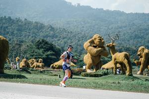 BIB: 
                            <button type="button" onclick="openModal(25977164)" class="btn btn-primary btn-sm float-right btn-popup" data-toggle="modal" data-target=".modal-high-quality">
                        <i class="fas fa-shopping-cart"></i> Add to Cart
                    </button>
                                            <button type="button" onclick="isThisMe(25977164, true)" class="btn btn-success btn-sm float-right btn-popup btn-isme hidden" data-toggle="tooltip" data-placement="bottom" title="นี่คือรูปของคุณใช่ไหม คลิกที่นี่เพื่อเอาเข้าอัลบั้ม">
                        <i class="fas fa-plus"></i> Add to album
                    </button>
                    <button type="button" onclick="isThisMe(25977164, false)" class="btn btn-warning btn-sm float-right btn-popup btn-isnotme hidden">
                        <i class="fas fa-ban"></i> Remove from album
                    </button>