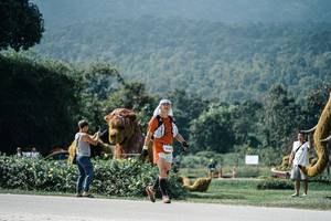 BIB: 
                            <button type="button" onclick="openModal(25956948)" class="btn btn-primary btn-sm float-right btn-popup" data-toggle="modal" data-target=".modal-high-quality">
                        <i class="fas fa-shopping-cart"></i> Add to Cart
                    </button>
                                            <button type="button" onclick="isThisMe(25956948, true)" class="btn btn-success btn-sm float-right btn-popup btn-isme hidden" data-toggle="tooltip" data-placement="bottom" title="นี่คือรูปของคุณใช่ไหม คลิกที่นี่เพื่อเอาเข้าอัลบั้ม">
                        <i class="fas fa-plus"></i> Add to album
                    </button>
                    <button type="button" onclick="isThisMe(25956948, false)" class="btn btn-warning btn-sm float-right btn-popup btn-isnotme hidden">
                        <i class="fas fa-ban"></i> Remove from album
                    </button>