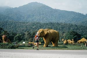 BIB: 
                            <button type="button" onclick="openModal(25871461)" class="btn btn-primary btn-sm float-right btn-popup" data-toggle="modal" data-target=".modal-high-quality">
                        <i class="fas fa-shopping-cart"></i> Add to Cart
                    </button>
                                            <button type="button" onclick="isThisMe(25871461, true)" class="btn btn-success btn-sm float-right btn-popup btn-isme hidden" data-toggle="tooltip" data-placement="bottom" title="นี่คือรูปของคุณใช่ไหม คลิกที่นี่เพื่อเอาเข้าอัลบั้ม">
                        <i class="fas fa-plus"></i> Add to album
                    </button>
                    <button type="button" onclick="isThisMe(25871461, false)" class="btn btn-warning btn-sm float-right btn-popup btn-isnotme hidden">
                        <i class="fas fa-ban"></i> Remove from album
                    </button>